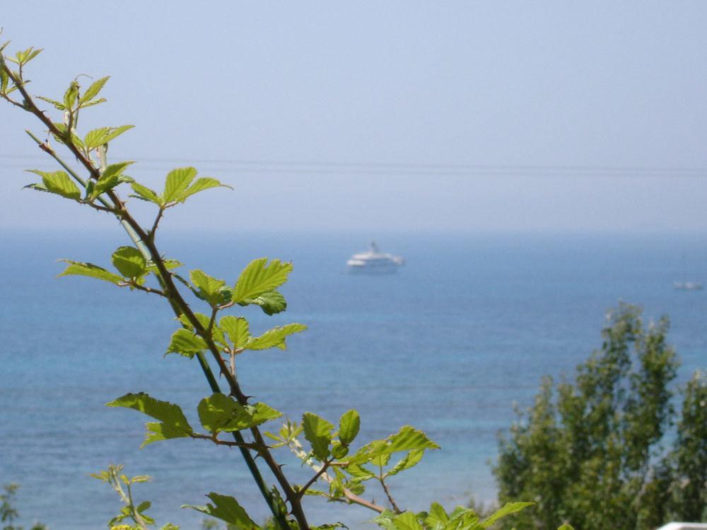 Mounda Beach Hotel Skala (Kefalonia) Exterior foto